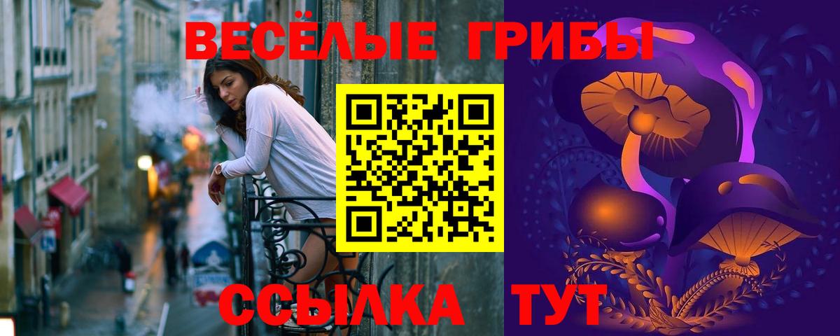 Видное  Галлюциногенные грибы GOLDEN TEACHER  Псилоцибиновые грибы мицелий  где купить   Вход с VPN 